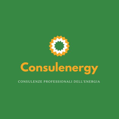 LOGO CONSULENERGY SRLS